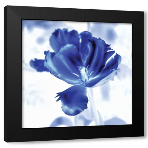 Blue Ice Tulip Black Modern Wood Framed Art Print by Donovan, Kelly