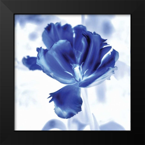 Blue Ice Tulip Black Modern Wood Framed Art Print by Donovan, Kelly