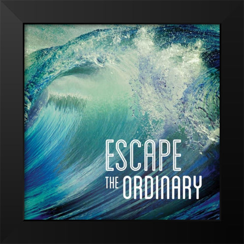 Escape the Ordinary Black Modern Wood Framed Art Print by Delimont, Danita