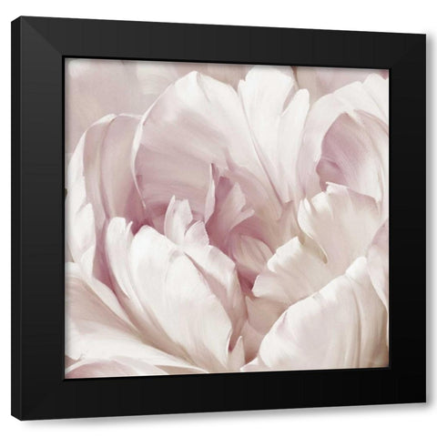 Intimate Blush I Black Modern Wood Framed Art Print with Double Matting by Levashov, Igor