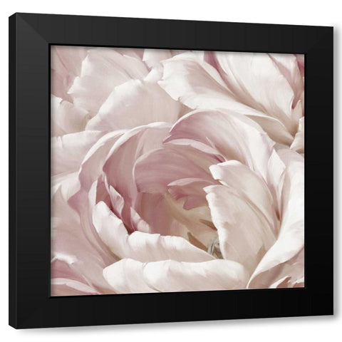 Intimate Blush II Black Modern Wood Framed Art Print by Levashov, Igor