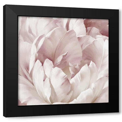 Intimate Blush III Black Modern Wood Framed Art Print by Levashov, Igor