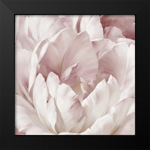 Intimate Blush III Black Modern Wood Framed Art Print by Levashov, Igor