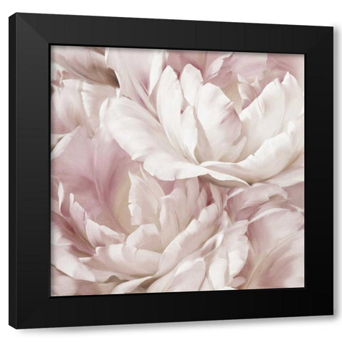 Intimate Blush IV Black Modern Wood Framed Art Print by Levashov, Igor