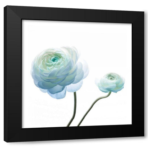 Gorgeous Blue I Black Modern Wood Framed Art Print by Delimont, Danita