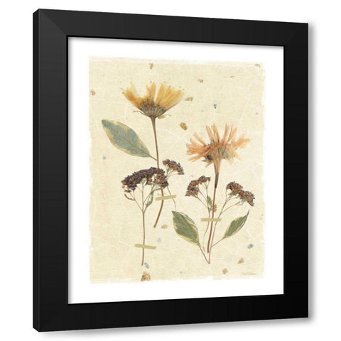 Pressed Daisies Black Modern Wood Framed Art Print with Double Matting by Robinson, Carol