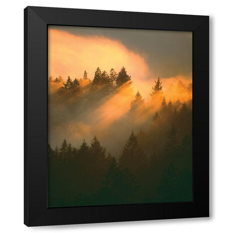 Morning Amber Black Modern Wood Framed Art Print with Double Matting by Delimont, Danita