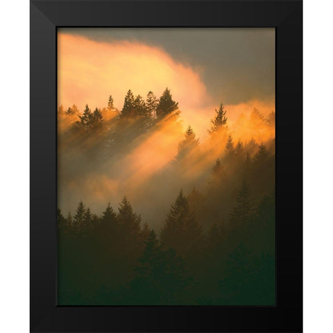 Morning Amber Black Modern Wood Framed Art Print by Delimont, Danita