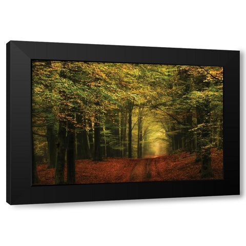 A Forest Path Black Modern Wood Framed Art Print by Van de Goor, Lars