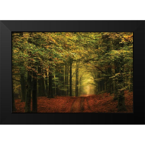 A Forest Path Black Modern Wood Framed Art Print by Van de Goor, Lars