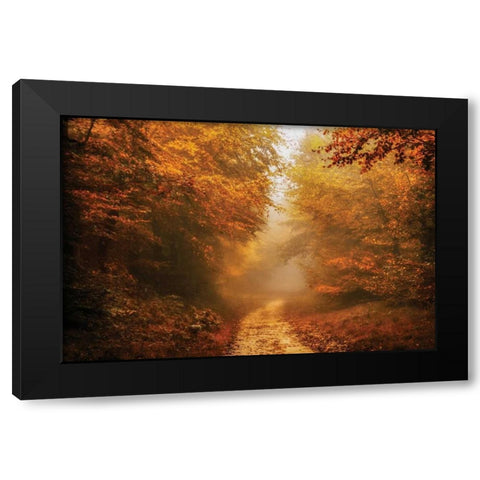 Autumnal Walk Black Modern Wood Framed Art Print with Double Matting by Van de Goor, Lars