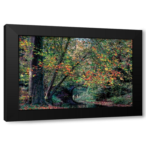 Beech and Bridge Black Modern Wood Framed Art Print by Van de Goor, Lars