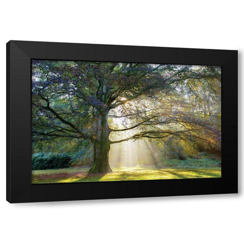 The Natural Black Modern Wood Framed Art Print by Van de Goor, Lars