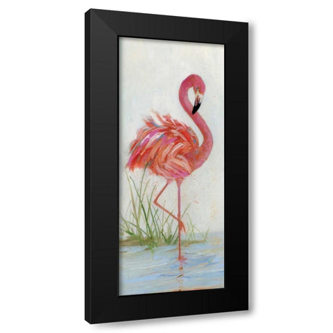 Flamingo I Black Modern Wood Framed Art Print with Double Matting by Swatland, Sally