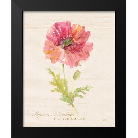 Botanical Poppy Black Modern Wood Framed Art Print by Robinson, Carol