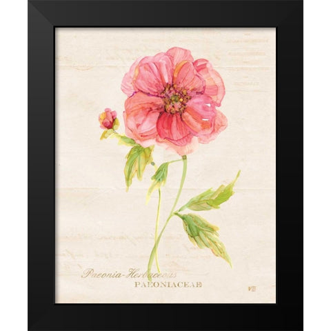 Botanical Peony Black Modern Wood Framed Art Print by Robinson, Carol
