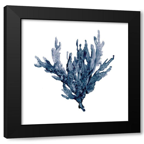 Sea Coral I Black Modern Wood Framed Art Print with Double Matting by Robinson, Carol