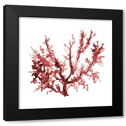 Sea Coral III Black Modern Wood Framed Art Print by Robinson, Carol