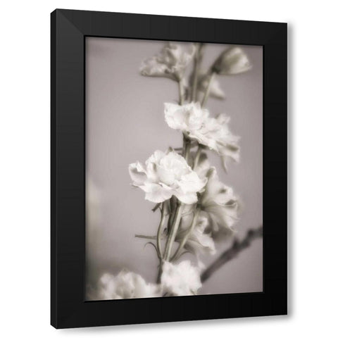 Jardin dArgent II Black Modern Wood Framed Art Print by Delimont, Danita