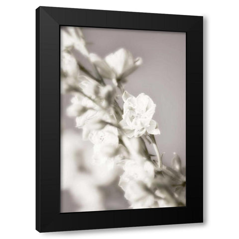 Jardin dArgent III Black Modern Wood Framed Art Print by Delimont, Danita