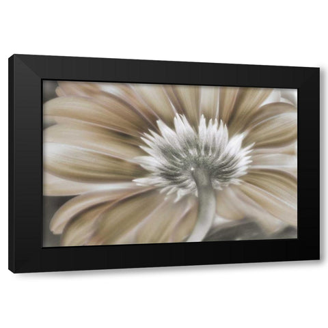 Dreamin Black Modern Wood Framed Art Print with Double Matting by Weisz, Irene