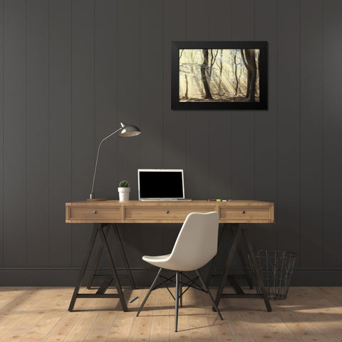 Forest Black Modern Wood Framed Art Print by Van de Goor, Lars