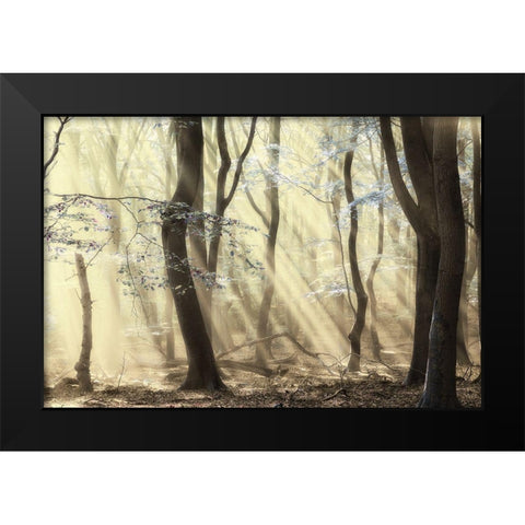 Forest Black Modern Wood Framed Art Print by Van de Goor, Lars