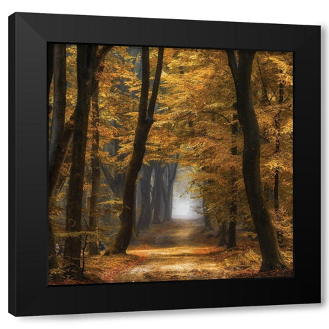 Speuldimensions Black Modern Wood Framed Art Print with Double Matting by Van de Goor, Lars