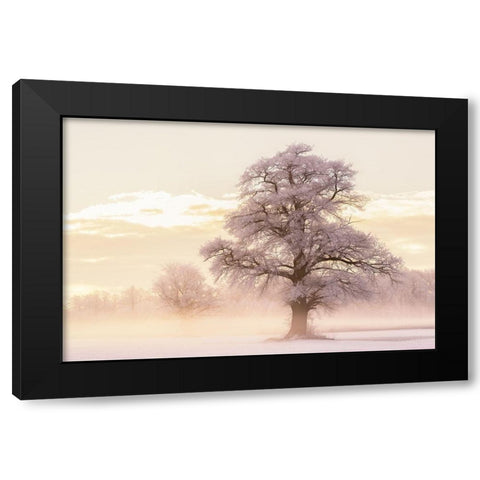 Winter Glow Black Modern Wood Framed Art Print by Van de Goor, Lars