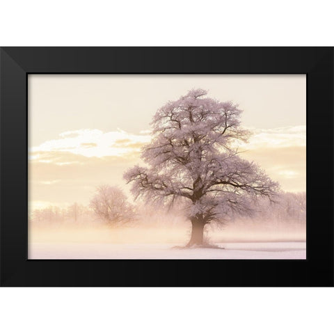 Winter Glow Black Modern Wood Framed Art Print by Van de Goor, Lars