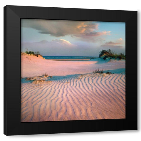 Little Talbot Black Modern Wood Framed Art Print with Double Matting by Delimont, Danita