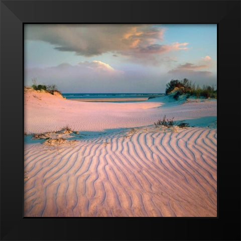 Little Talbot Black Modern Wood Framed Art Print by Delimont, Danita
