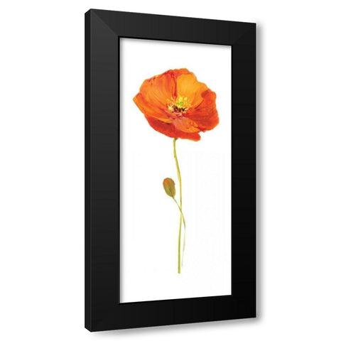 Poppy Pop II Black Modern Wood Framed Art Print with Double Matting by Nan