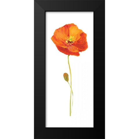 Poppy Pop II Black Modern Wood Framed Art Print by Nan