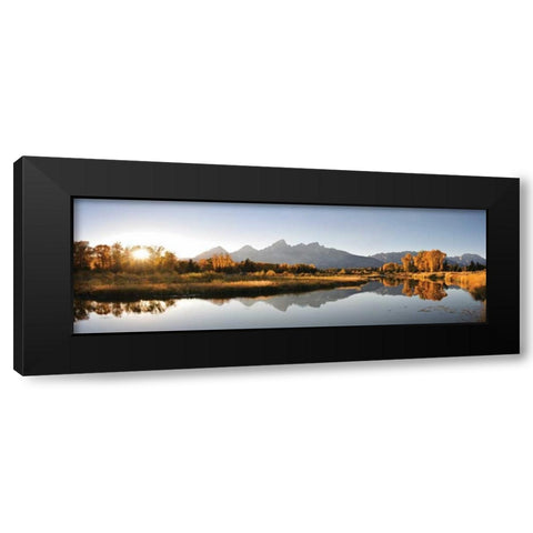 Landing on Snake Black Modern Wood Framed Art Print by Delimont, Danita