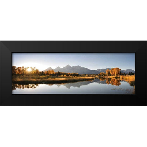 Landing on Snake Black Modern Wood Framed Art Print by Delimont, Danita