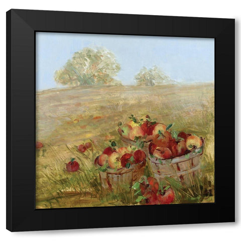 Apple Picking I Black Modern Wood Framed Art Print with Double Matting by Swatland, Sally