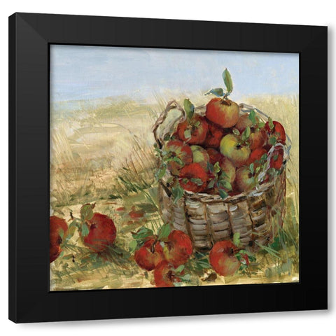 Apple Picking II Black Modern Wood Framed Art Print with Double Matting by Swatland, Sally