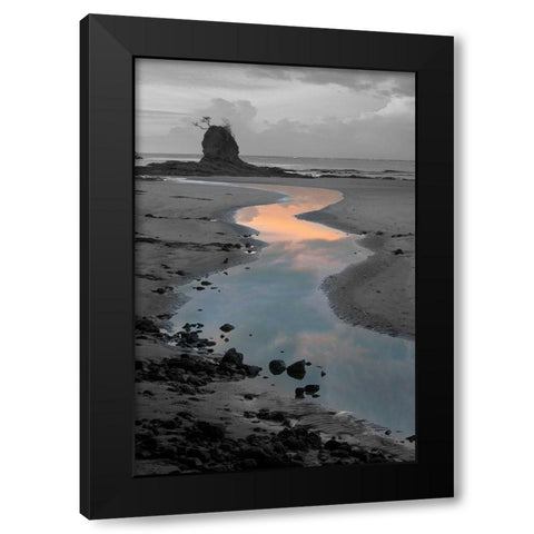 Playa Carrillo Black Modern Wood Framed Art Print by Delimont, Danita