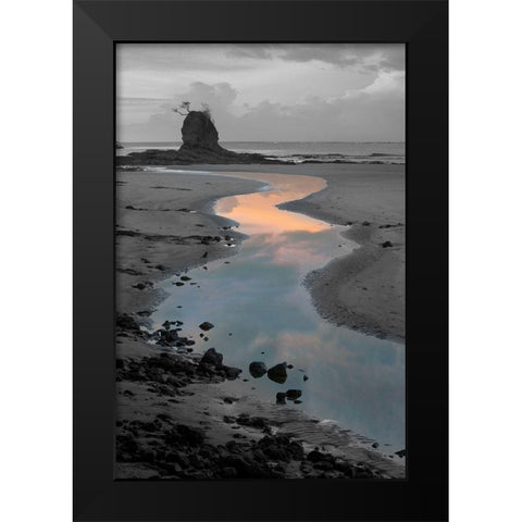 Playa Carrillo Black Modern Wood Framed Art Print by Delimont, Danita