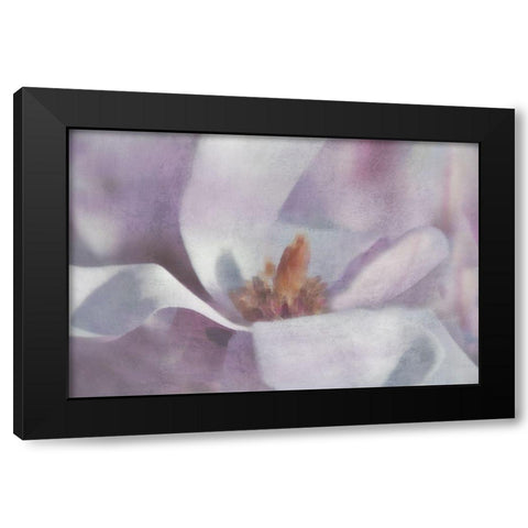 Magnolia Melody I Black Modern Wood Framed Art Print by Weisz, Irene