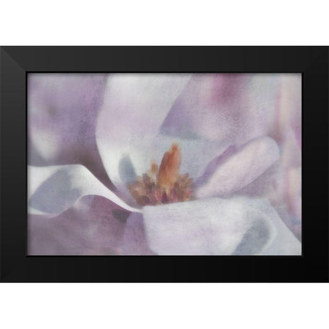 Magnolia Melody I Black Modern Wood Framed Art Print by Weisz, Irene