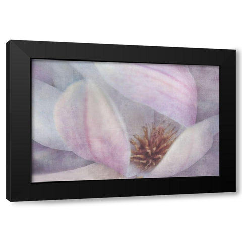 Magnolia Melody II Black Modern Wood Framed Art Print with Double Matting by Weisz, Irene
