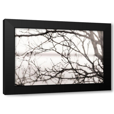 After the Rain Black Modern Wood Framed Art Print by Delimont, Danita