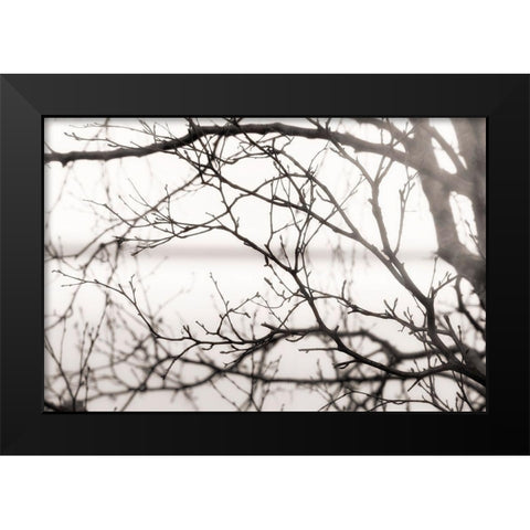 After the Rain Black Modern Wood Framed Art Print by Delimont, Danita