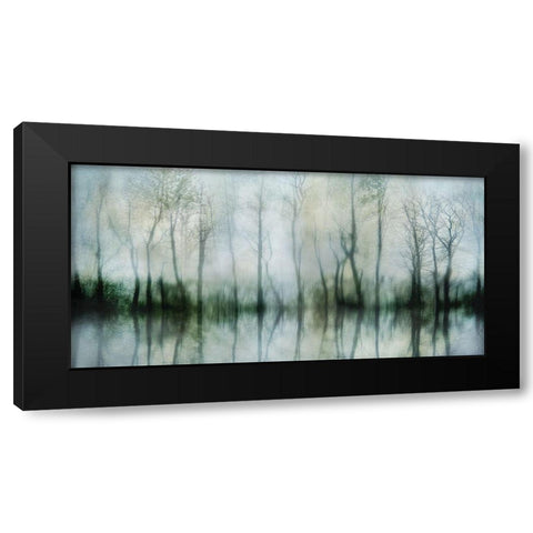 Mirrored Pond Black Modern Wood Framed Art Print with Double Matting by Weisz, Irene