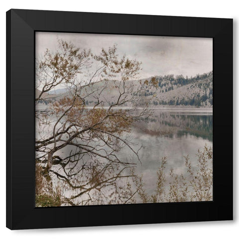 Warm Afternoon I Black Modern Wood Framed Art Print by Weisz, Irene
