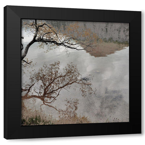 Warm Afternoon II Black Modern Wood Framed Art Print by Weisz, Irene