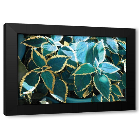 Tropical Leaves Black Modern Wood Framed Art Print with Double Matting by Nan