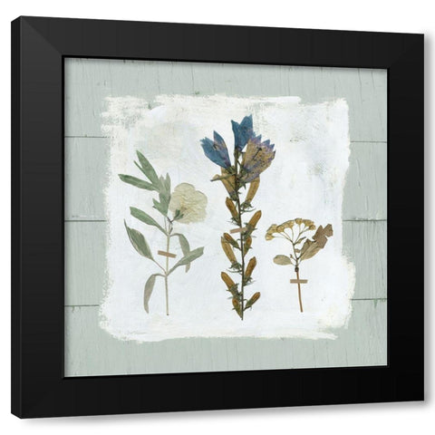 Pressed Flowers on Black Modern Wood Framed Art Print by Robinson, Carol
